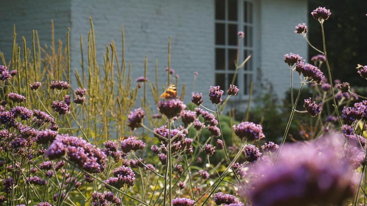 Het Witte Kasteel Villa Loon op Zand Exterior photo